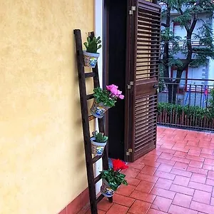 Opuntia Dell'etna Bike House , Mascalucia Italia